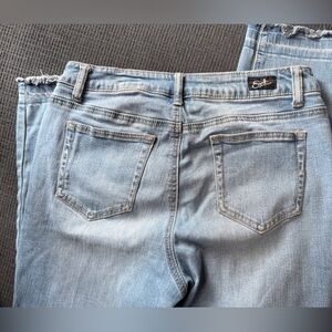 Earl Jeans Blue Skinny Jeans with Vintage Wash